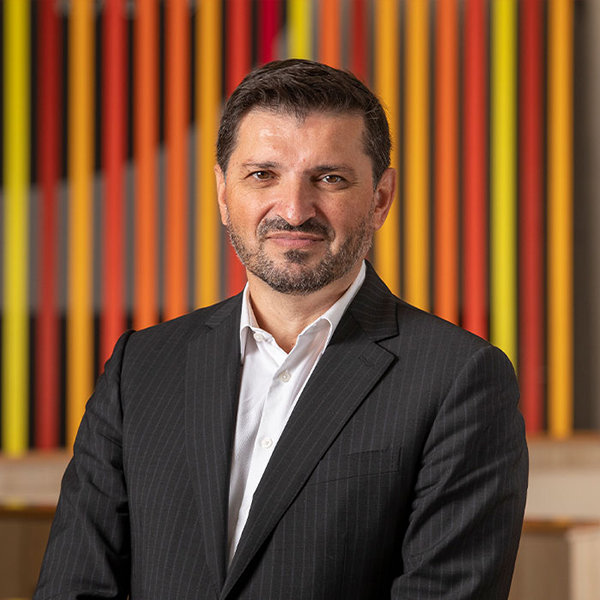 Vlado Perkovic