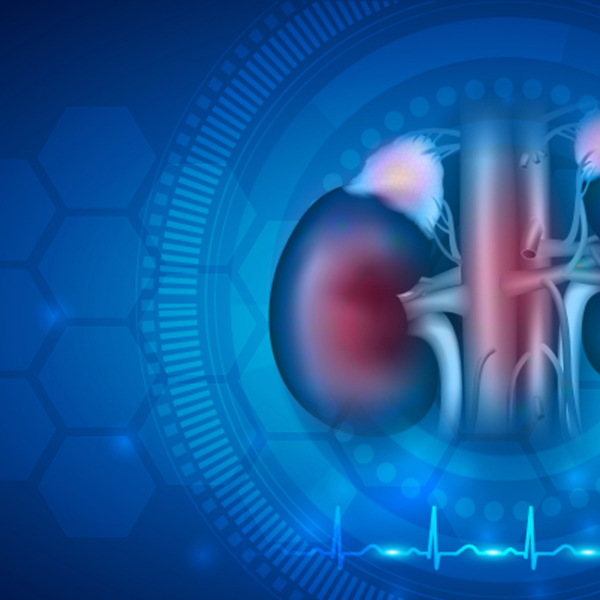 The Glomerular Revolution - What Sponsors Must Do Next to Win in Rare Renal Disease